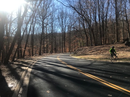 Smooth pavement in Rock Creek Park